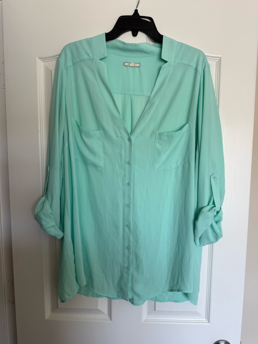 Pleione Mint Green Button-Down Blouse